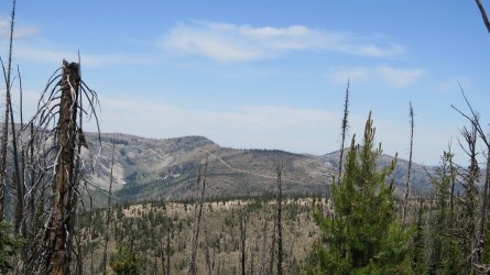 IMG_2227.JPG