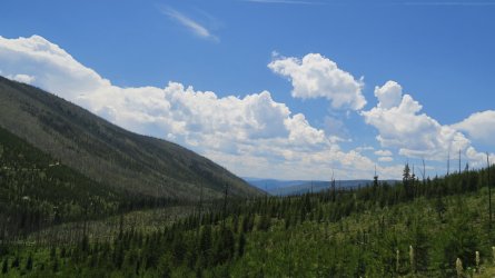 IMG_2229.JPG