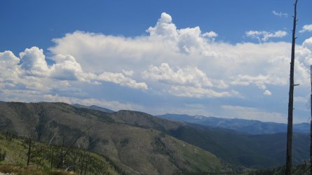 IMG_2231.JPG