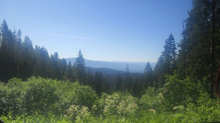 IMG_2258.JPG