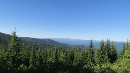 IMG_2260.JPG