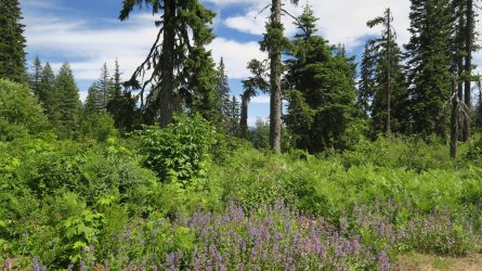 IMG_2274.JPG