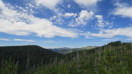 IMG_2276.JPG