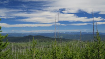 IMG_2277.JPG