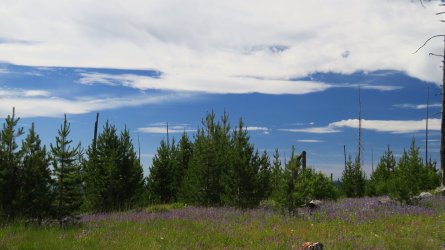 IMG_2280.JPG