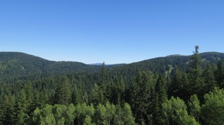 IMG_2305.JPG