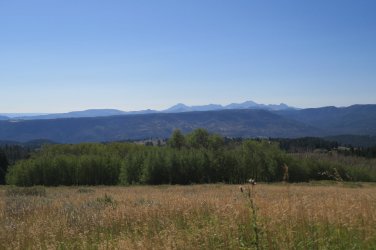 IMG_2448.JPG