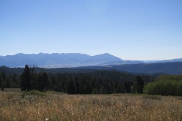 IMG_2449.JPG