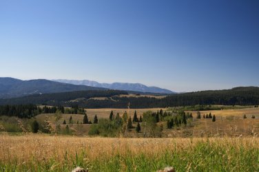 IMG_2450.JPG