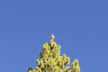 IMG_2451.JPG