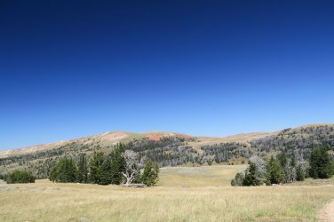 IMG_2460.JPG