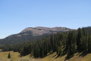 IMG_2465.JPG