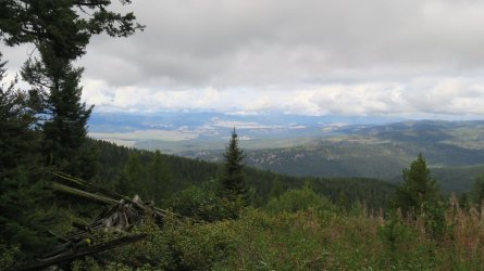 IMG_006.JPG