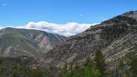 IMG_20260907_131732513_HDR.jpg