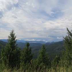 IMG_2564.JPG