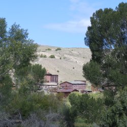 IMG_2510.JPG