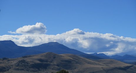 IMG_2579.JPG