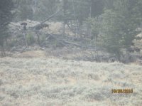 IMG_0117.JPG