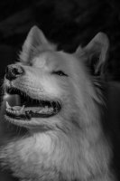 _MG_2767.jpg