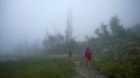WP_20140812_051.jpg