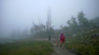 WP_20140812_051.jpg