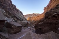 _MG_8103.jpg
