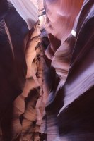 IMG_7091.jpg