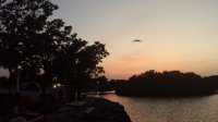 20150424_200819.jpg