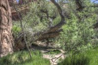 _DSC1167_8_9_tonemapped.jpg