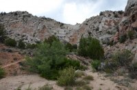 DSC_9993.jpg