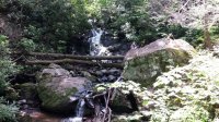 2015-06-08 12.11.28.jpg