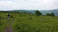 2015-06-09 12.17.17.jpg