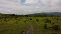 2015-06-09 12.18.40.jpg
