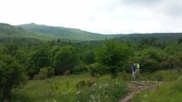 2015-06-09 13.47.02.jpg