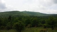 2015-06-09 13.47.08.jpg