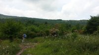 2015-06-09 13.47.12.jpg