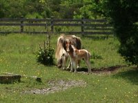 IMG_0688.JPG
