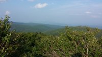 2015-06-09 18.48.55.jpg