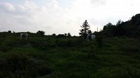 2015-06-09 18.52.41.jpg