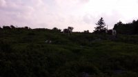 2015-06-09 18.53.16.jpg
