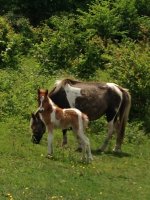 IMG_0693.JPG