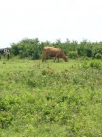 IMG_0710.JPG