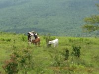 IMG_0714.JPG