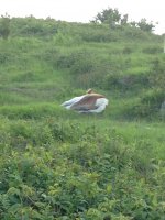 IMG_0748.JPG