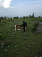 IMG_0751.JPG