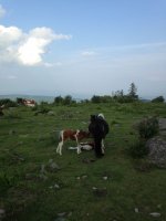 IMG_0755.JPG