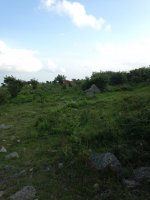 IMG_0763.JPG