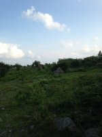 IMG_0764.JPG