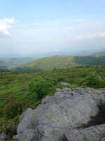 IMG_0771.JPG