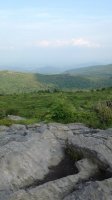 IMG_0772.JPG